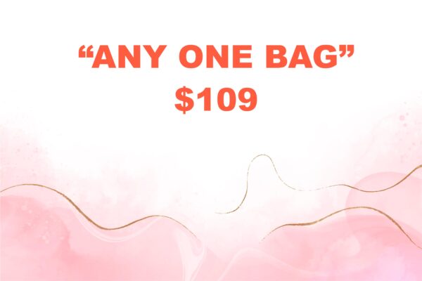 ANY ONE BAG "109"
