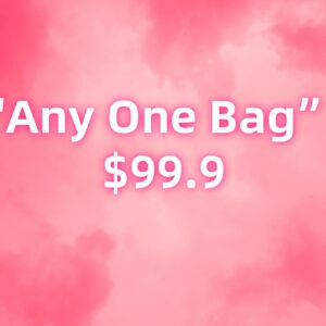 ANY ONE BAG "129"