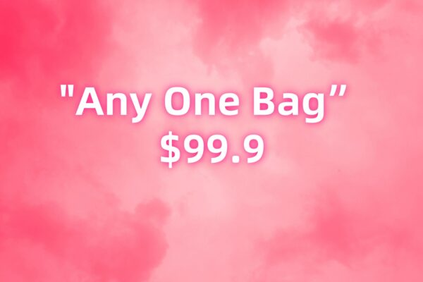 ANY ONE BAG "129"